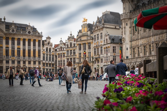 Japanese-English or French Translator in Brussels - Belgium